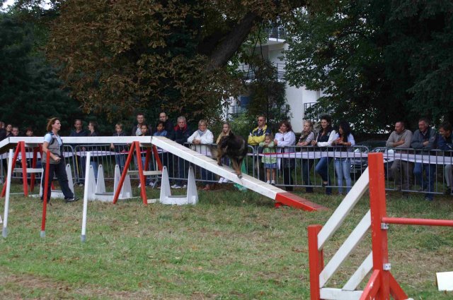 foire-haricots 2011-09-17et18